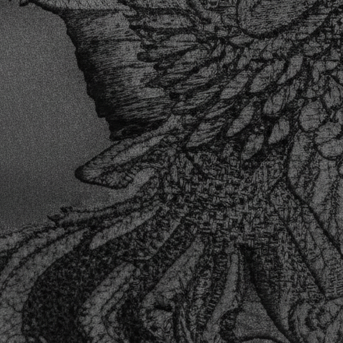 Gilet met Geborduurd Design & Strikdetail Shadow Grace